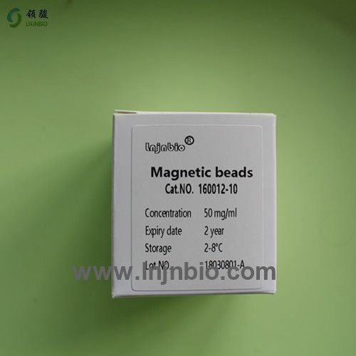 Carboxyl magnetic beads/particle