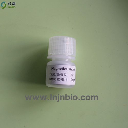 Virus nucleic acid DNA extraction biofunctional magnetic beads