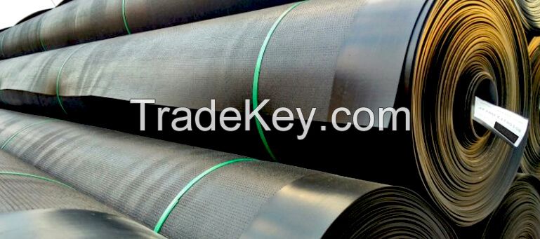 TEXTURIZED GEOMEMBRANE