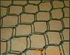 hexagonal   wire  mesh