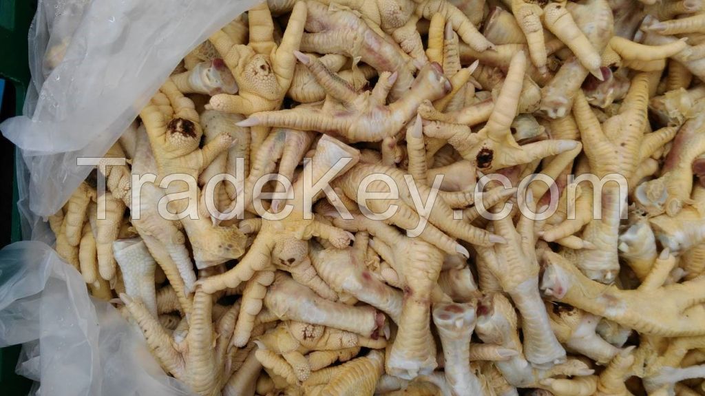 Unprocessed Chicken Feet 20-40gr / Hungary / Russia or Ukraine Origin