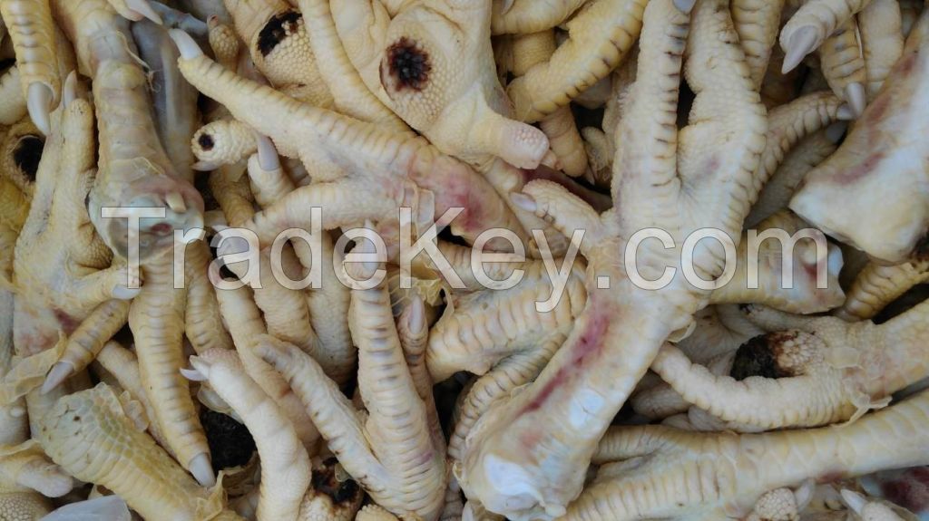 Unprocessed Chicken Feet 20-40gr / Hungary / Russia or Ukraine Origin