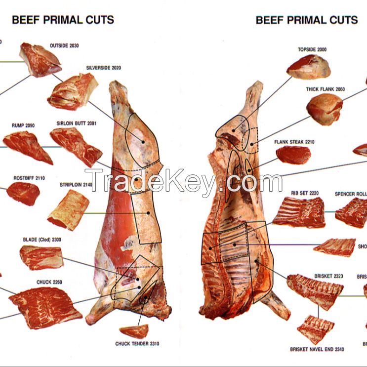 Beef and Lamb