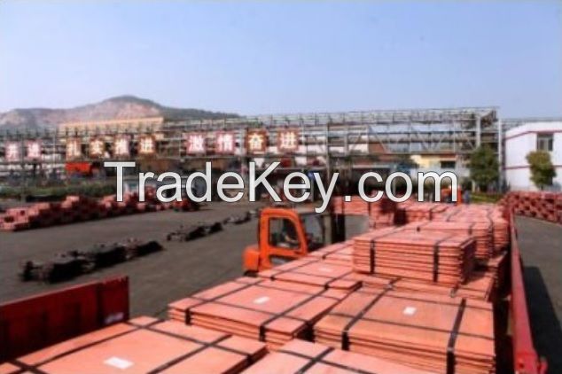 Grade A Copper Cathode 99.99% FOR SALE