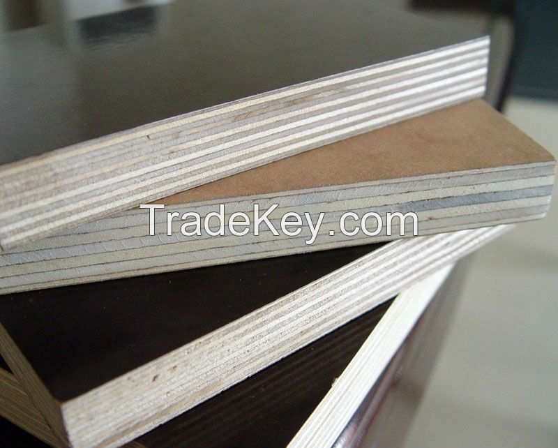 Film faced plywood poplar wbp melamine 18mm