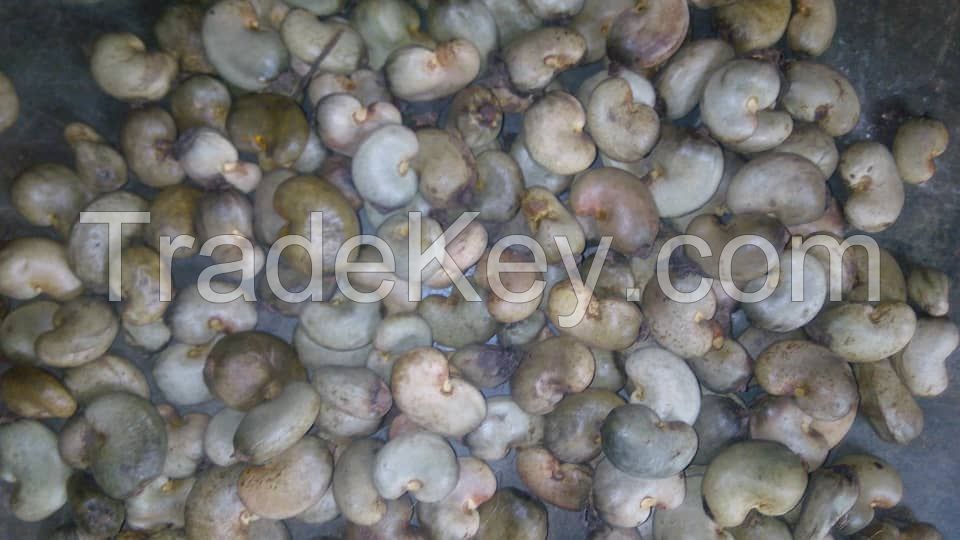 cashew nuts