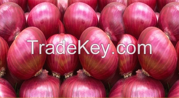 Red Onions 