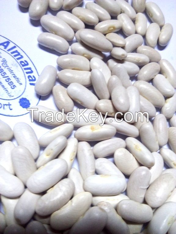 White Kidney Beans