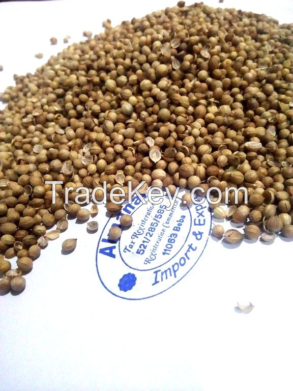 Coriander Seeds