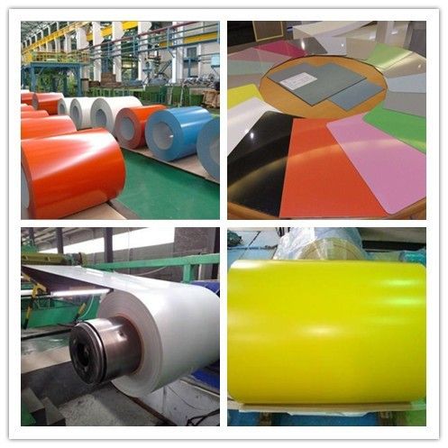 Prepainted Galvanized Steel Coils / PPGI