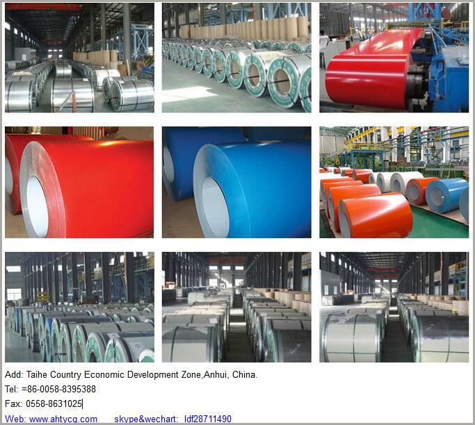 Prepainted gavanized steel coil