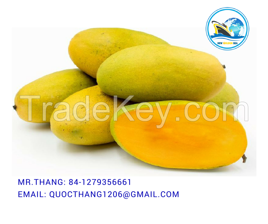 Supplier 100% Fresh Mango at Competitive Price