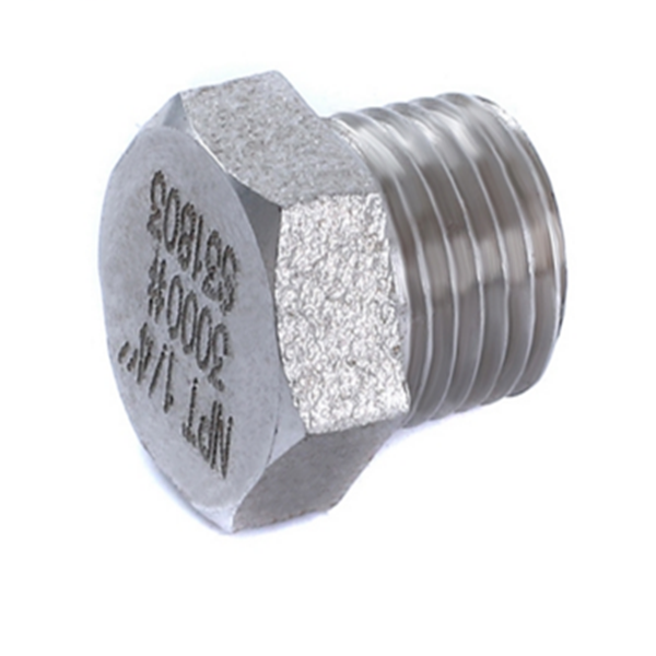 150LBS NPT Thread Stainless Steel 304 316 hexagon Plug