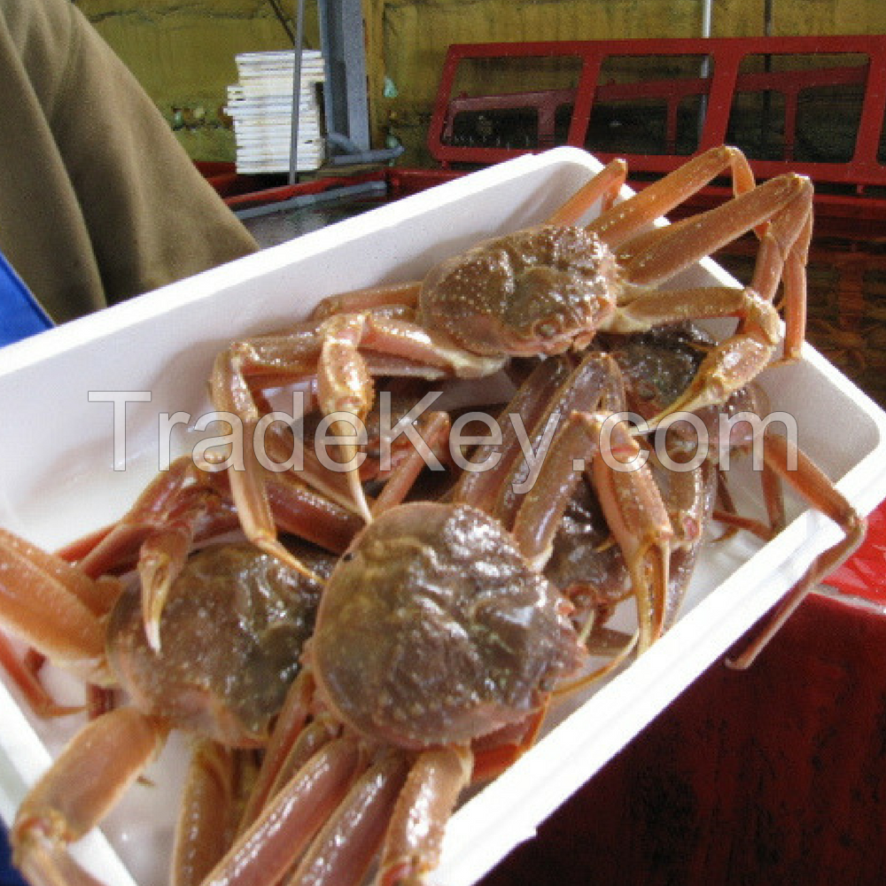 Atlantic Cod FishMaw, Snow crab, lobsters, salmon bellies, Frozen Salmon head 400gram plus, Scallop meat, Halibut, Mackerel, Ling. 