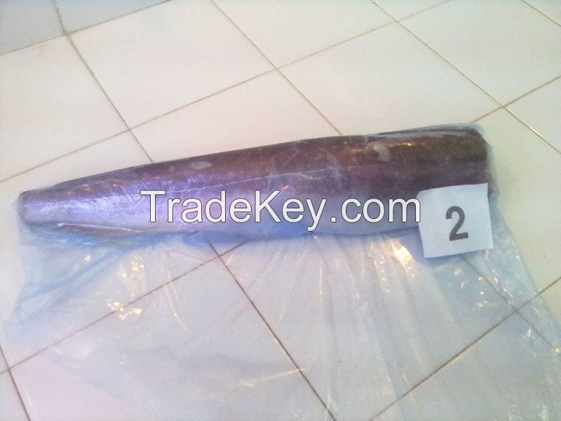 Frozen Hake Fish / Frozen Hake Fillet / Frozen Herring Fish / Frozen Mackerel fish