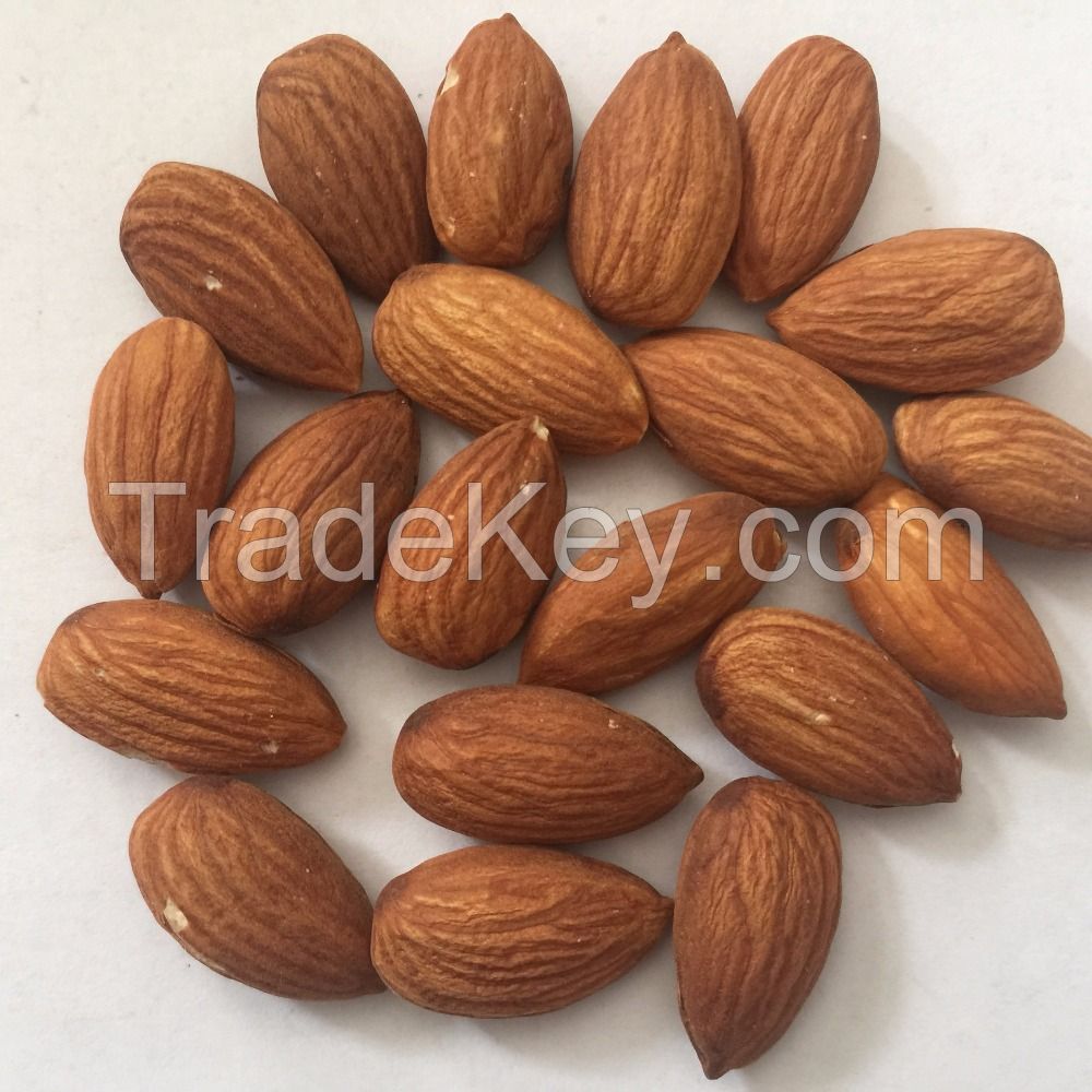 High Quality Organic Raw Almonds Nuts In USA