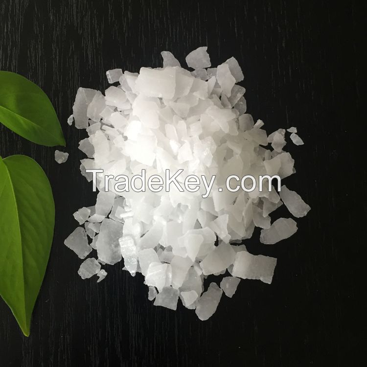 Caustic Soda Price