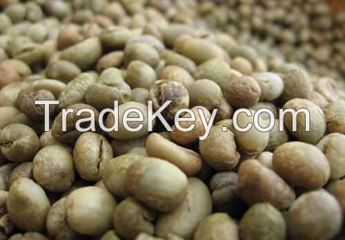 VIETNAM ROBUSTA COFEE GRADE 2/S13