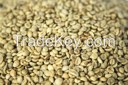 ROBUSTA COFFEE BEANS GRADE 1/S18