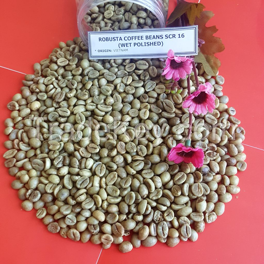 ROBUSTA COFFEE BEAN 