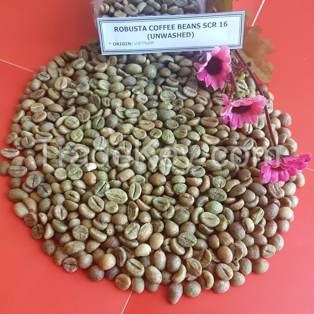 ROBUSTA COFFEE BEAN 