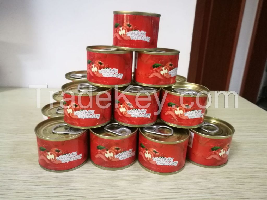 High Quality Canned Tomato Paste, 70g, 140g, 210g...