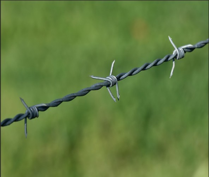 Double Twist Barbed Wire