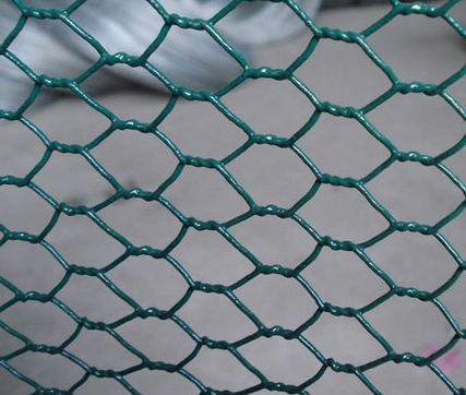 Hexagonal Wire Mesh