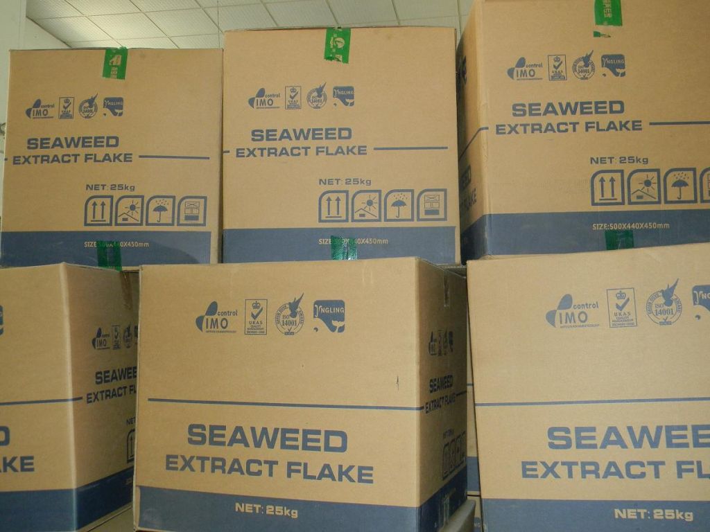 Seaweed fertilzier, seaweed extract flake and powder