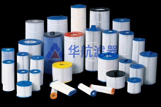 Multi-pleated pool water filter