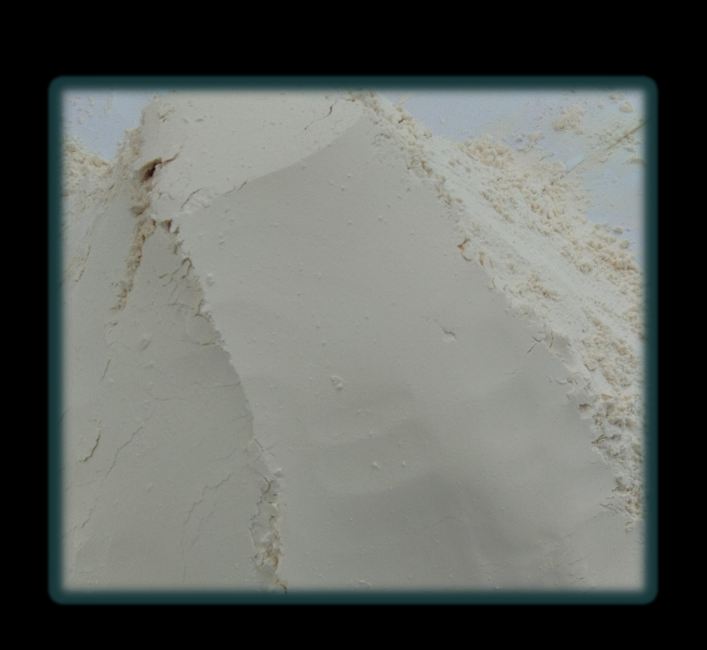 Dehydrated/ dried garlic powder