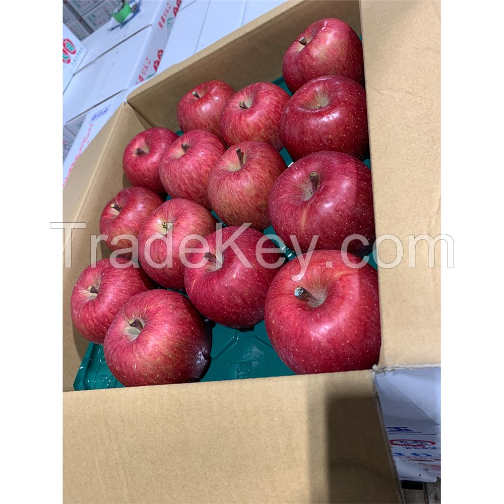 Popular flavor high quality and cheap price fuji apple fresh fruit 
