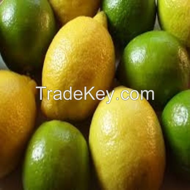 Wholesale price orange king wholesale royal yellow citrus fruit 