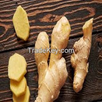 2020 NEW FRESH GINGER FROM VIETNAM 