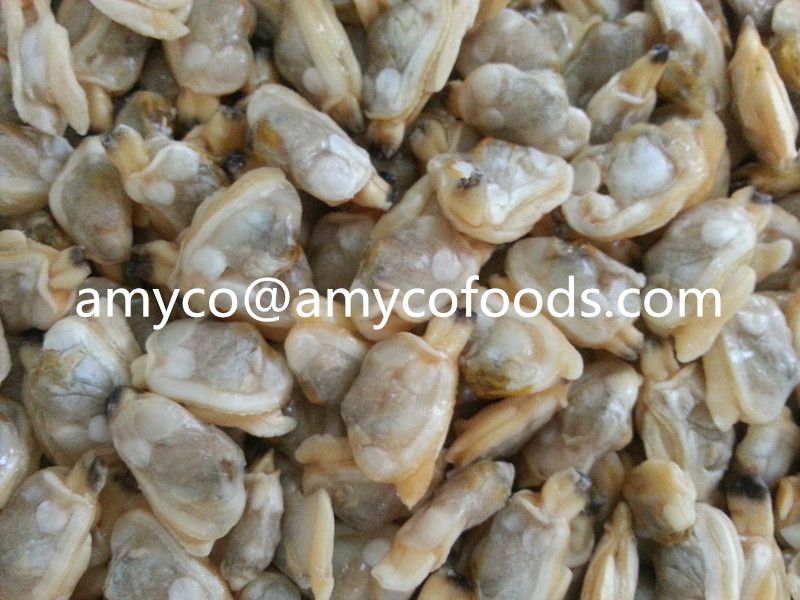 Frozen Boiled Short Neck Clam Meat