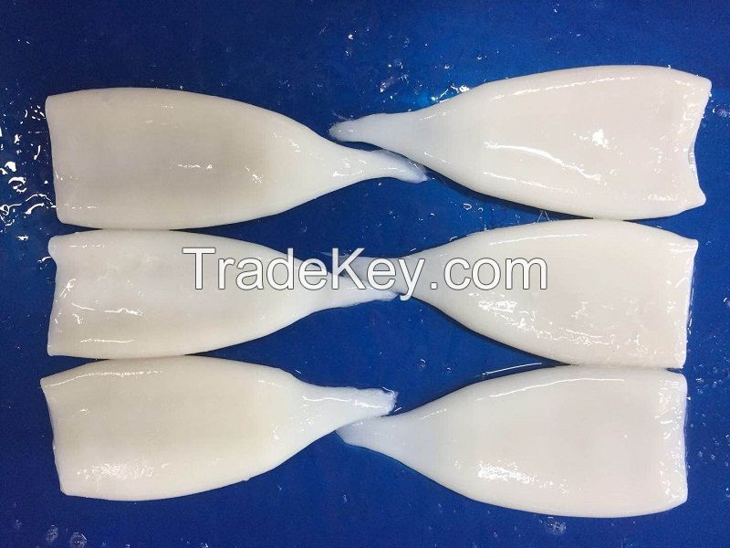 High Quilaty Squid Tube At Low Price