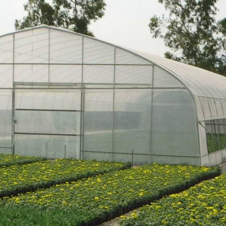 Factory Price Agricultural Single Span Substantial Tunnel Greenhouse f