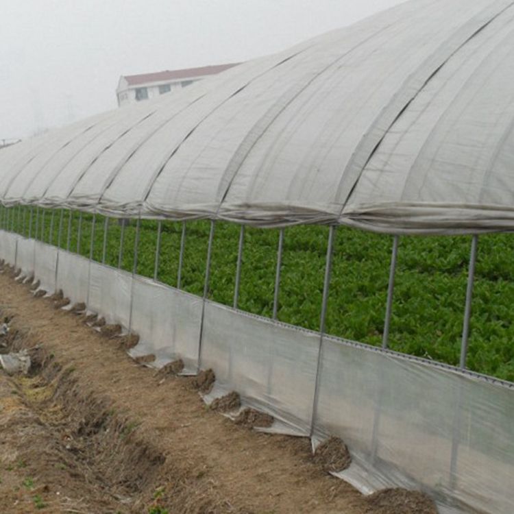 China Supply Hot sale Tunnel Nursey Greenhouse with Covering