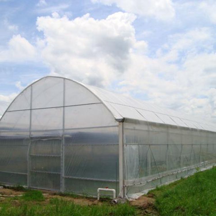 Reasonable Price Multi Span Walk-in Greenhouse