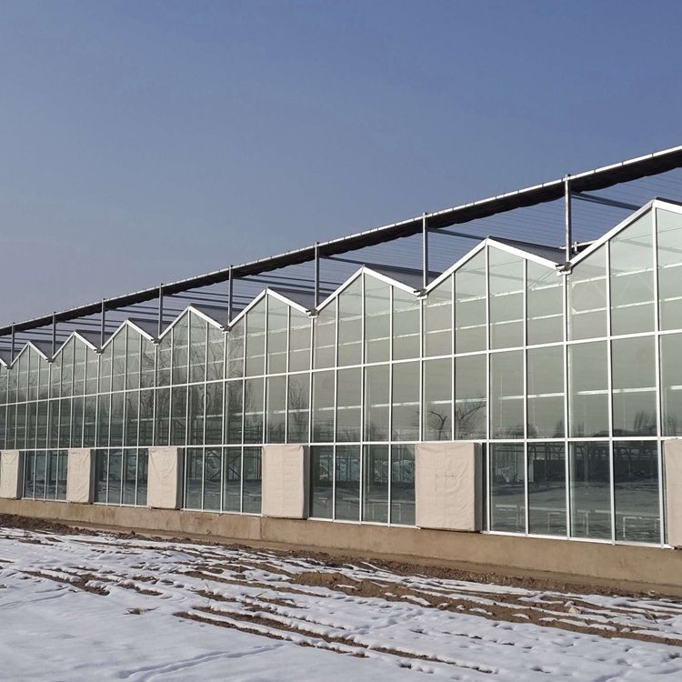 The Most Durable Glass Greenhouse for Research