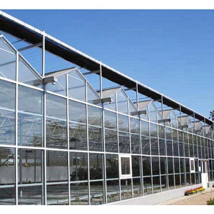 Experienced Factory Price Multi Span Glass Greenhouse