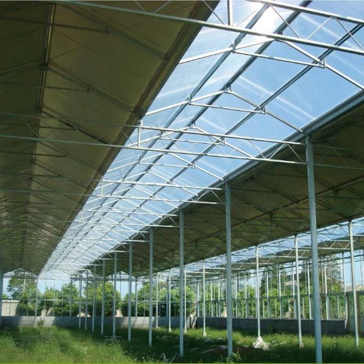 Customized Service Plastic Sheet Greenhouse for Vegetables