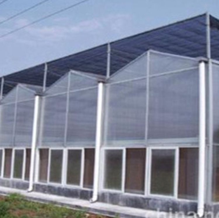 Customized Service Prefabricated PC Sheet Greenhouse for Vegetables