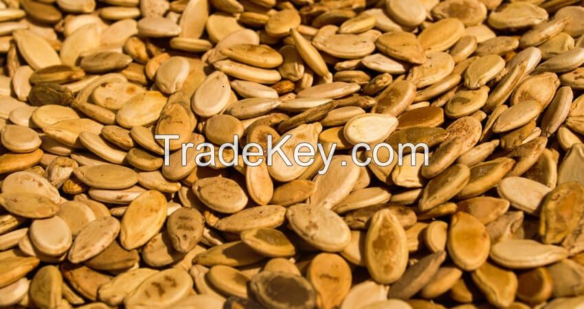 Watermelon Seeds (WMS)