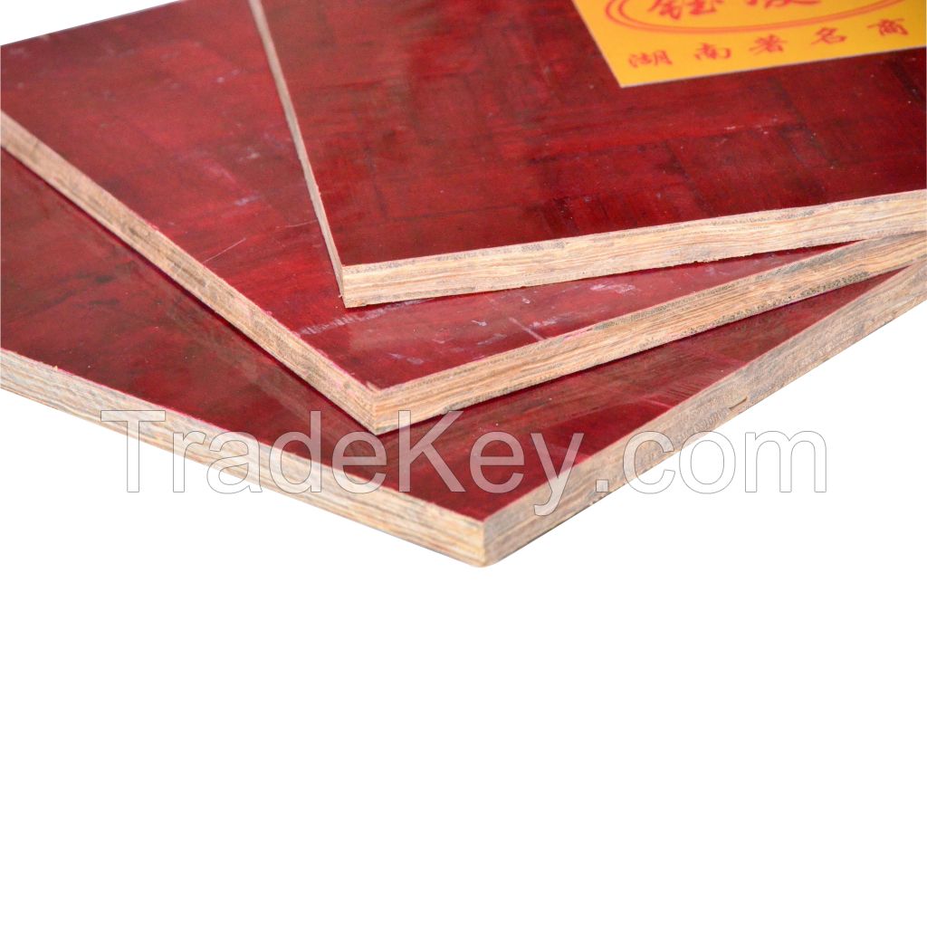 Bamboo Plywood for Building Construction