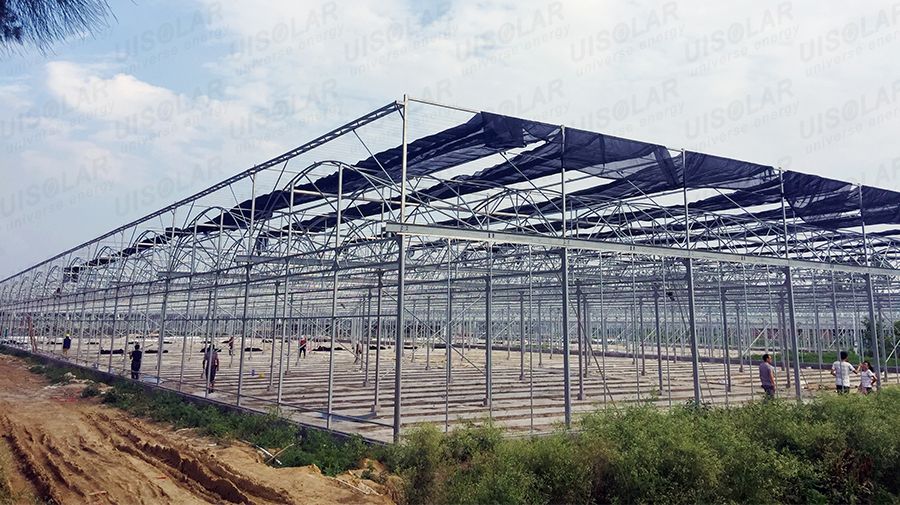 The Cheapest Hot Sale Sainpoly Agricultural/Commercial Plastic Greenhouse