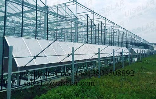 Enlo large agricultural with insulated tempered glass greenhouses for aquaponic system