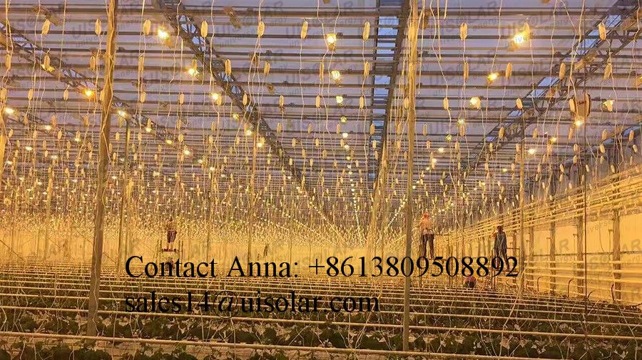 Enlo large agricultural with insulated tempered glass greenhouses for aquaponic system