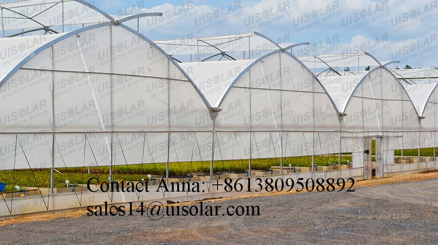 The Cheapest Hot Sale Sainpoly Agricultural/Commercial Plastic Greenhouse