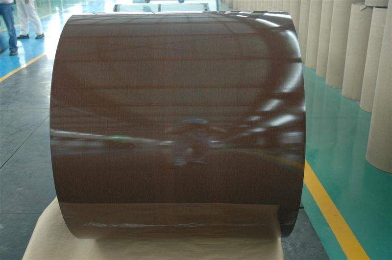 Pre-Painted Galvanized Steel Coil/IRon for building material